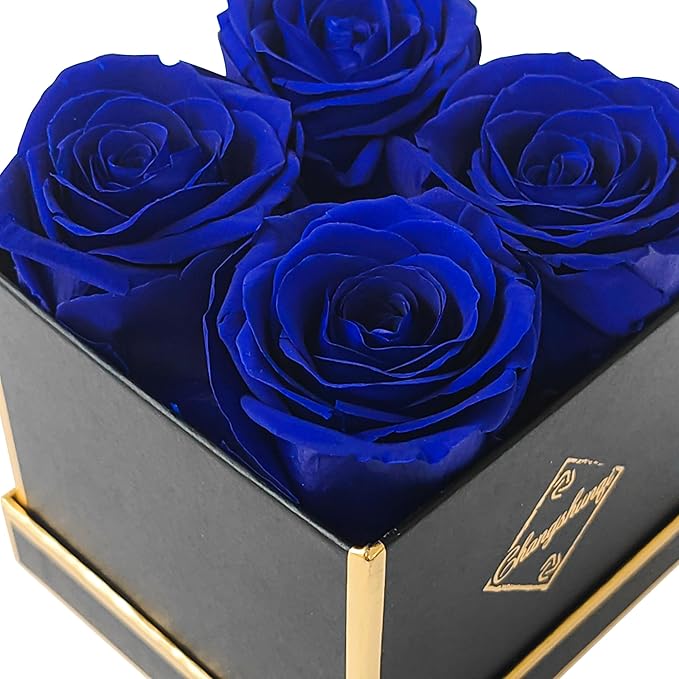 Changshunqi Forever Flowers, Preserved Real Roses in Box Lasting 2-3 Years, Preserved Flowers Birthday Gifts for Womem Mom Her,Anniversary Eternal Flowers Gifts for Mother Women Friends