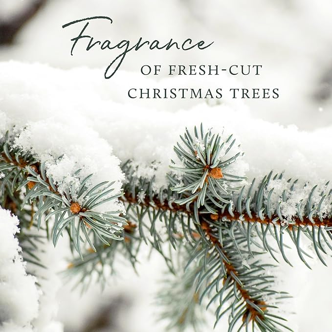 Thymes Frasier Fir Flocked Jar Candles – Holiday Scented Candles for Home with Notes of Crisp Siberian Fir, Cedarwood & Sandalwood – Luxury Home Decor Gifts for Women & Men (Votive, 2 oz)