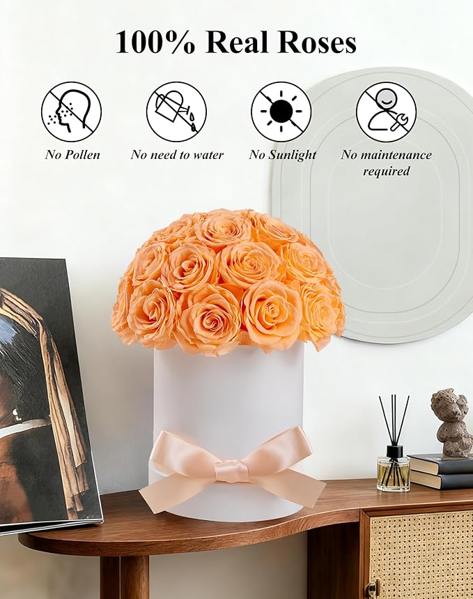 27 Forever Roses Dome in White Box, Eternal Real Roses Gifts for Women, Preserved Flowers for Delivery Prime, Anniversary, Valentine's Day, Christmas, Birthday for Her (Champagne)