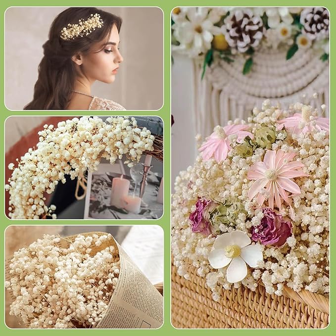 2500+ Dried Babys Breath Flowers Bulk - 17" Ivory White Dried Flower Bouquet, Real Natural Gypsophila Branches for Vase Filler, Wedding, Table Centerpiece, Home Decor, DIY Wreath Floral, Crafts