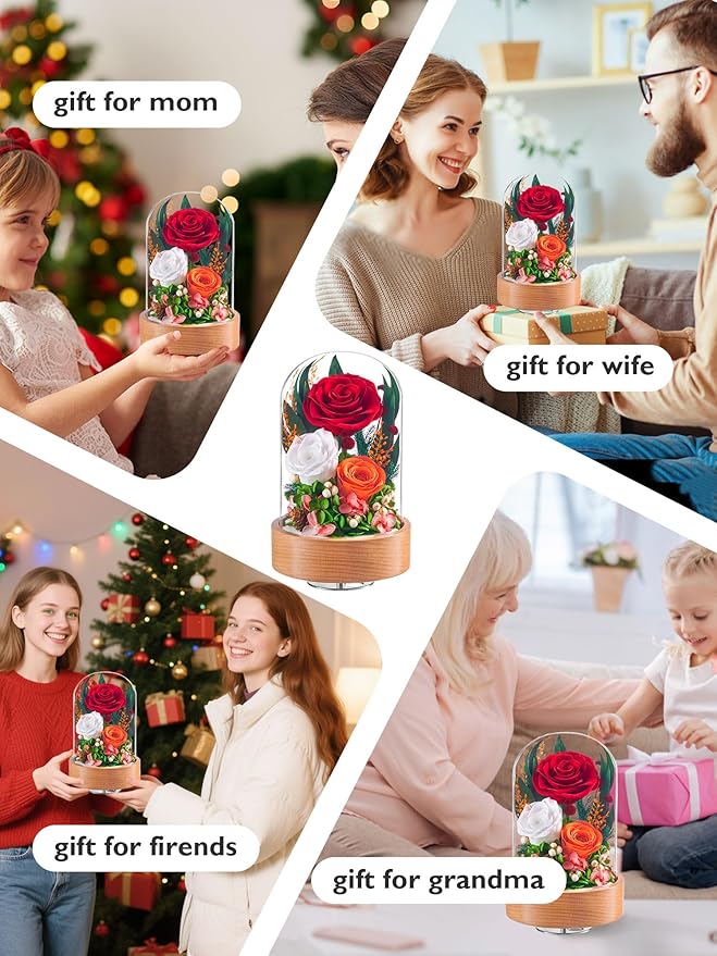 Eterfield Flowers for Delivery Prime, Christmas Preserved Roses Gifts for Women - Forever Flower in Glass Dome Birthday Gifts for Mom Wife Grandma Her Valentine’s Day (Red, Cylindrical)