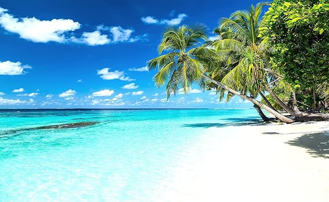Palm Tree Wall Mural Tropic Paradise Beach Seascape Murals Wallpaper for Walls Bedroom Living Room Bedroom TV Background Kids Room Decoration（Not Peel and Stick）