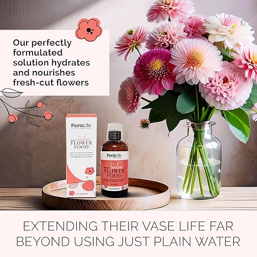 FloraLife Flower Food & Surface Cleaner - Nutrition Solution & Vase and Tool Cleaning Set - 2 X 8oz