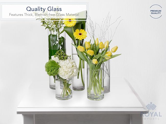 Royal Imports Flower Glass Vase Decorative Centerpiece for Home or Wedding - Cylinder Shape (5" Wide x 6" Tall, Clear)