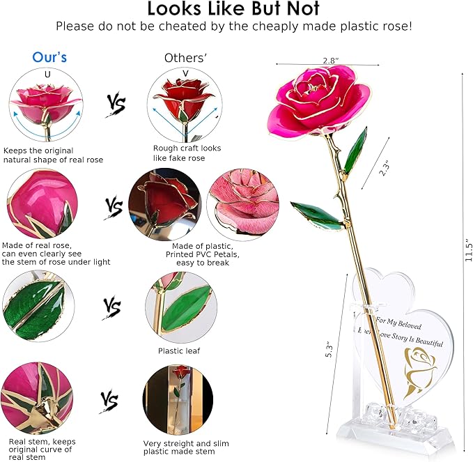 Sinvitron Gold Dipped Infinity Rose Forever Flower Decor, Resin Preserved Real Rose Birthday Gift for Women, Anniversary Present for Mom (Rose Red)