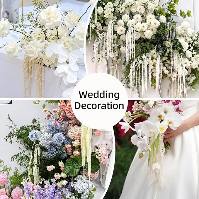 5Pcs Dried Amaranthus Hanging Flowers, Natural Preserved Flower for Wedding Arch, Exhibition, Wall Hanging Lover Tears, Floral Arrangement, Home Decor (White, 24")