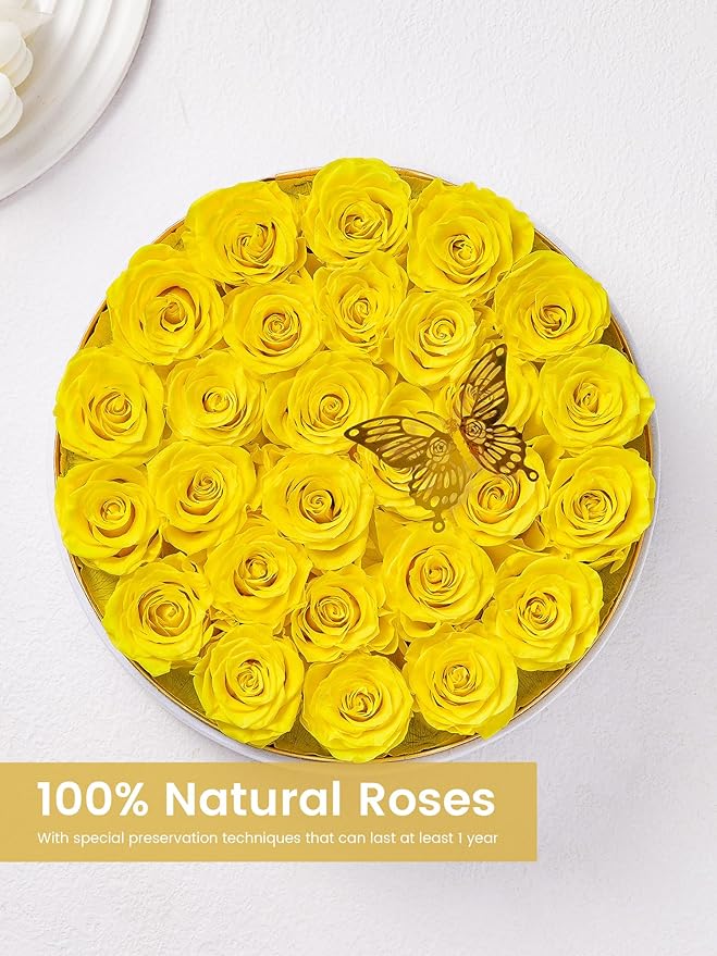 Preserved Roses Forever Flowers Real Roses in a Box Mother's Day Birthday Flowers for Her Mom Women Wife Valentine's Day, 27 Yellow Roses