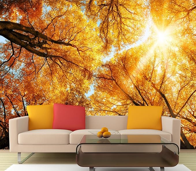 Cliouar-Warm Autumn Sun Shines Through The Golden Crowns of Tall Beech Trees Peel and Stick 137" x 102"