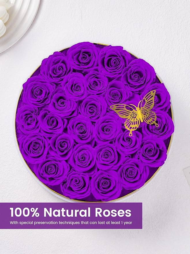 Preserved Roses Forever Flowers Real Roses in a Box Mother's Day Birthday Flowers for Her Mom Women Wife Valentine's Day, 27 Purple Roses