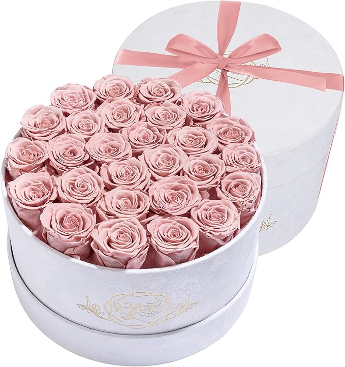 27 Flowers in a Luxury Suede Box, Birthday Gifts for Women, Preserved Flowers, Mothers Day Roses Gift for Mom, Dusty Rose