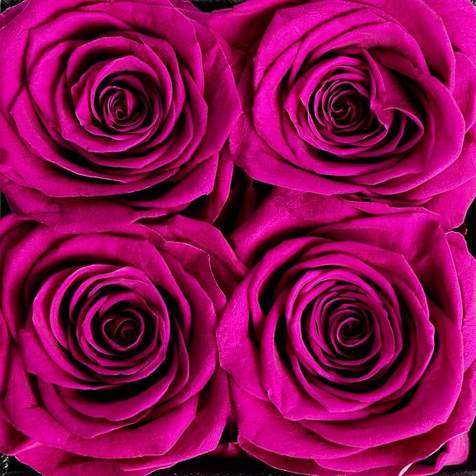 4 Preserved Flower, Fresh Flower Forever Roses in Square Shape Box, Immortal Roses Gift for Her Eternal Roses, 100% Real Roses, Birthday Gifts for Women, Wife, Her, Mom, Purple