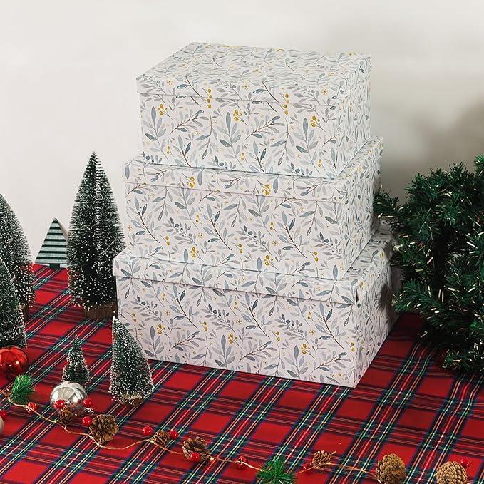 Soul & Lane Decorative Cardboard Storage Boxes with Lids for Home Decor and Organization, Set of 3 Large Keepsake Boxes for Memories & Gifts, Nesting Floral Photo Storage Containers, Winter Blossom