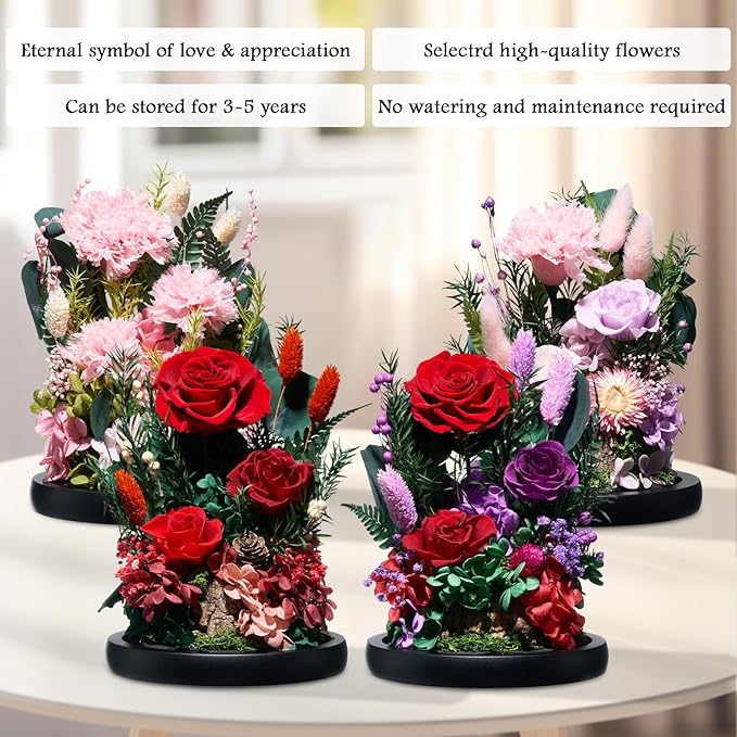 Preserved Roses,Forever Fresh Flowers 7.48in,Gift for Women,Mom,Grandma,Wife,Girlfriend,Sister,and Daughter Perfect for Birthday,Mother’s Day,Valentine’s Day (Sweetheart Carnation4)