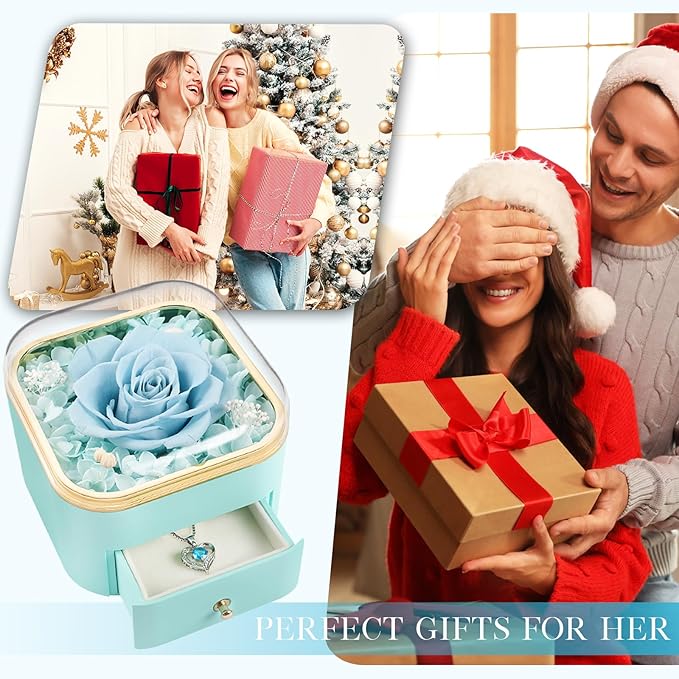 Beferr Christmas Day Rose Gifts for Mom Women Birthday Gifts Preserved Real Rose with Necklace Eternal Roses Forever Flowers for Delivery Prime Thanksgiving Flower Gifts for Grandma Wife Daughter Sister