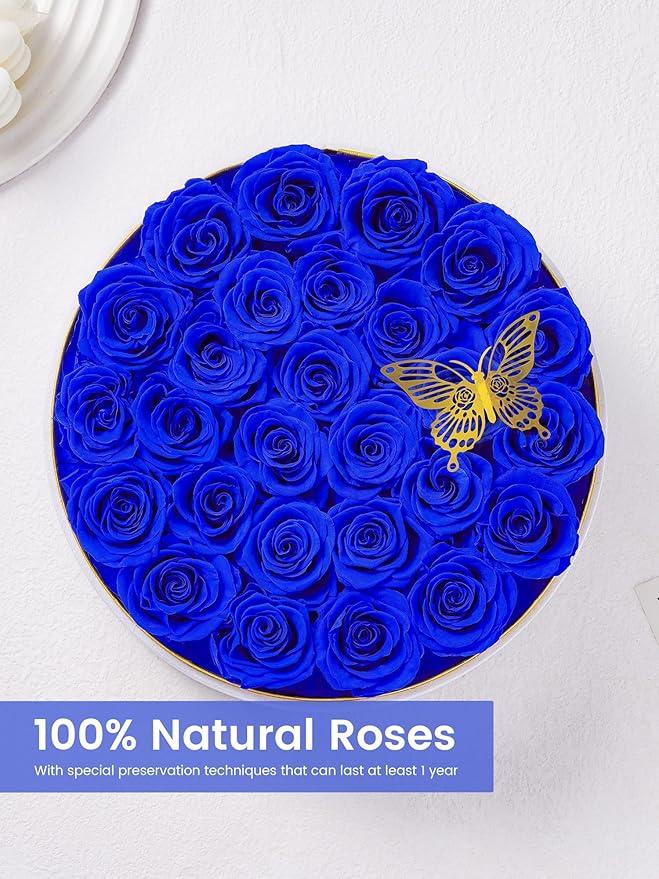 Preserved Roses Forever Flowers Real Roses in a Box Mother's Day Birthday Flowers for Her Mom Women Wife Valentine's Day, 27 Royal Blue Roses