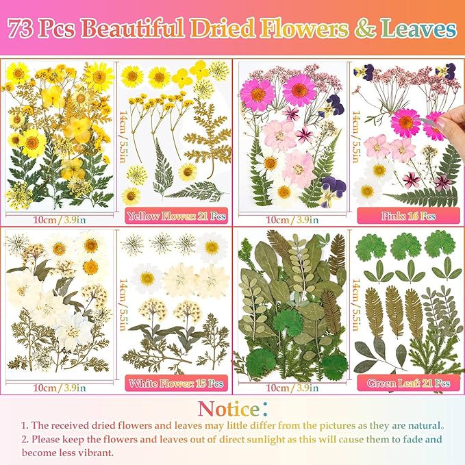 Dried Flowers for Resin, Real Nature Dried Pressed Flower Leaves Bulk with Tweezers for DIY Nail Art Cards Scrapbooking Crafts Jewelry Making Epoxy Resin Molds Candle Accessories Floral Decors