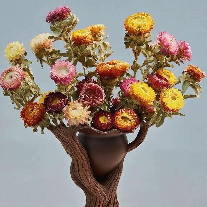 12Pcs Natural Dried Daisy Flowers Stems - Real Natural Dried Flowers Bouquet for Vase, Farmhouse Rustic Wedding Home Decor, DIY Handmade Dry Flower Arrangement, Gardening, Gift, Multi-Colored