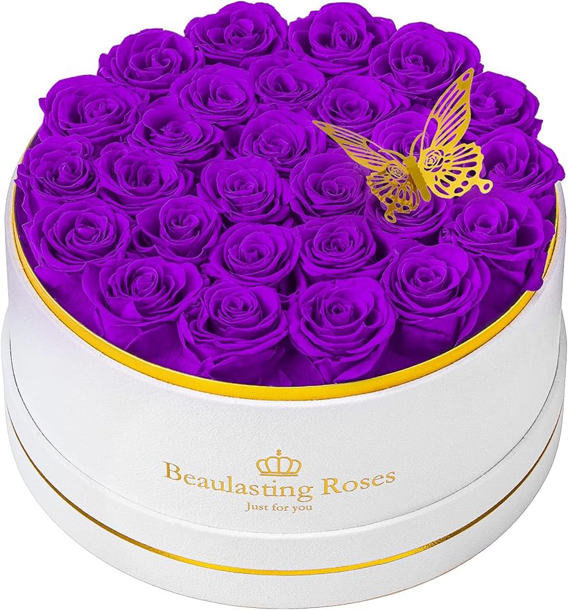 Preserved Roses Forever Flowers Real Roses in a Box Mother's Day Birthday Flowers for Her Mom Women Wife Valentine's Day, 27 Purple Roses