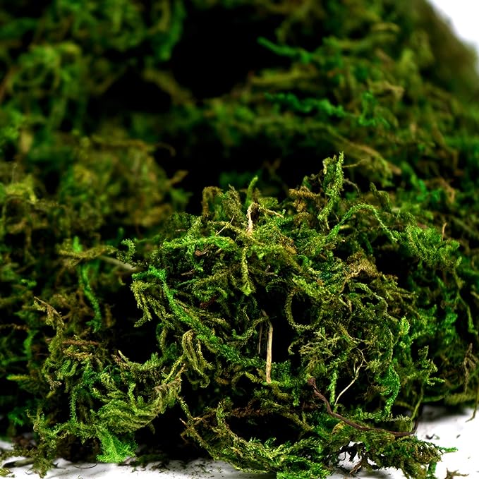 BYHER Artificial Moss Fake Green Grass for Centerpieces Home Kitchen Garden Decor (8OZ, Fresh)