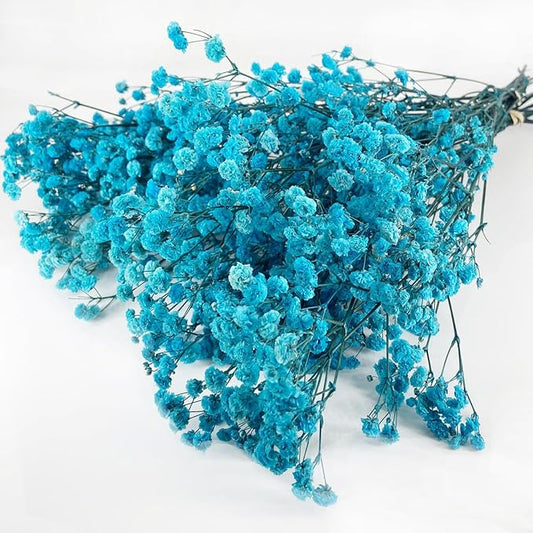 Preserved Baby's Breath, 100% Natrual Gypsophila Long Lasting Flowers for Vase Arrangements Home Decoration Photo Props Parties and Weddings, DIY Décor-Blue