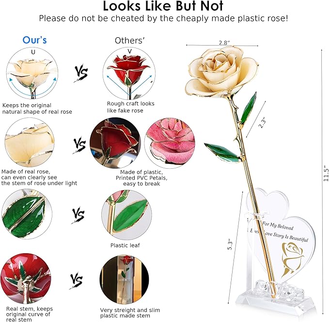 Sinvitron Gold Dipped Infinity Rose Forever Flower Decor, Resin Preserved Real Rose Birthday Gift for Women, Anniversary Present for Mom (White)