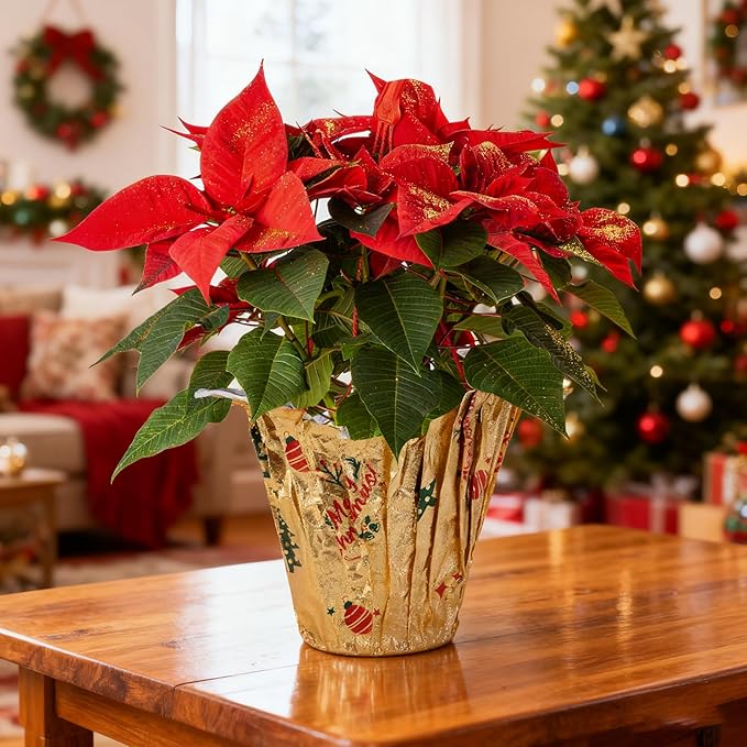Adnee 10 Yard Floral Foil Plant Pot Covers,Matte Texture Christmas Plant Pot Foil with Patterns,Golden Floral Pot Wrapping Paper for Christmas Home Flower Pot DIY decor