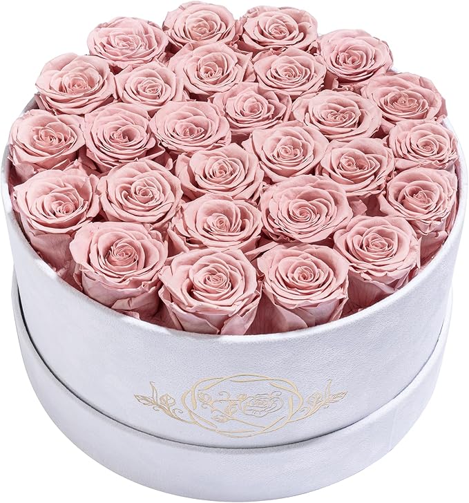 27 Flowers in a Luxury Suede Box, Birthday Gifts for Women, Preserved Flowers, Mothers Day Roses Gift for Mom, Dusty Rose