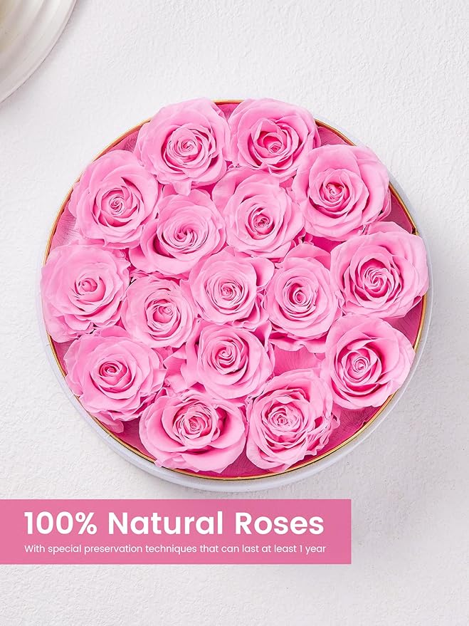 Preserved Roses Forever Flowers Real Roses in a Box Mother's Day Birthday Flowers for Her Mom Women Wife Valentine's Day, 16 Light Pink Roses