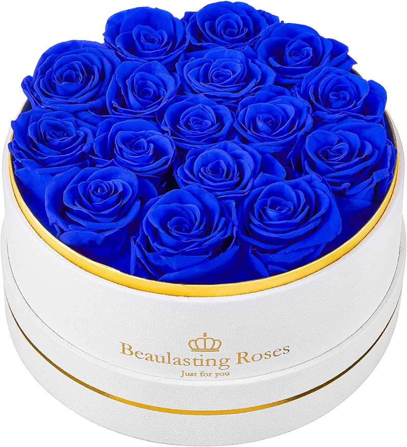 Preserved Roses Forever Flowers Real Roses in a Box Mother's Day Birthday Flowers for Her Mom Women Wife Valentine's Day, 16 Royal Blue Roses