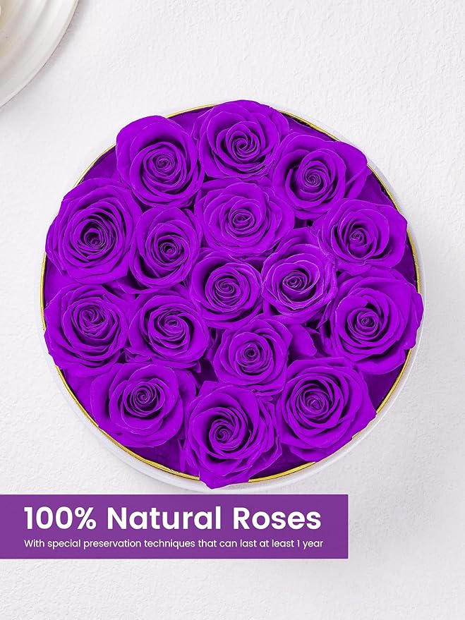 Preserved Roses Forever Flowers Real Roses in a Box Mother's Day Birthday Flowers for Her Mom Women Wife Valentine's Day, 16 Purple Roses
