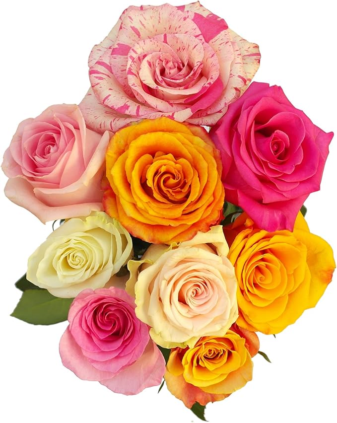 GlobalRose Fresh Cut Assorted Roses - 75 Roses (3 Bundles of 25) Fresh Bouquet for Birthday, Anniversary or Home Decor - Flowers Delivery Gift