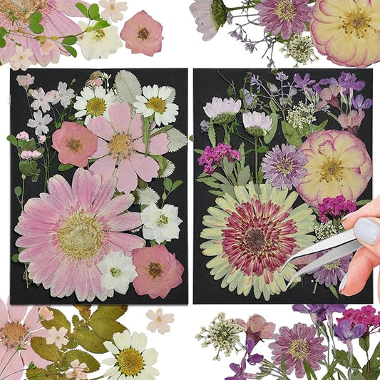 CONVELIFE White Dried Pressed Flowers, 40Pcs Real Nature Flowers Set with Tweezers, Pressed Flowers for Resin DIY Jewelry Candle Soap Vase Making Nail Card Scrapbook Art Craft Floral Decors