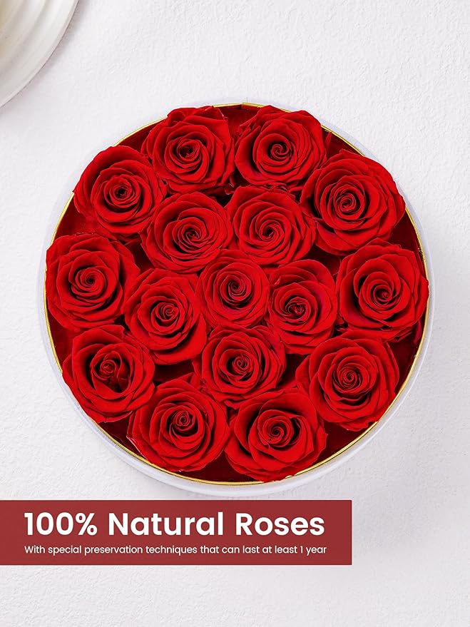 Preserved Roses Forever Flowers Real Roses in a Box Mother's Day Birthday Flowers for Her Mom Women Wife Valentine's Day, 16 Red Roses