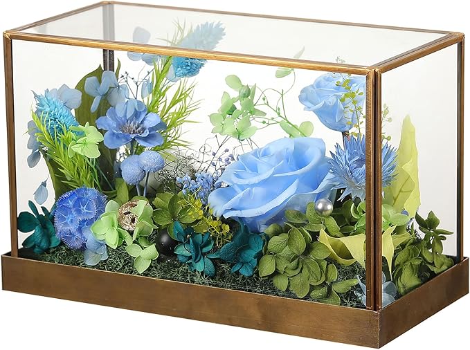 Christmas Flowers Roses Gifts for Mom,Forever Real Preserved Rose in Glass Dome,Christmas Roses Gifts for Women Grandma Wife Mother in Law