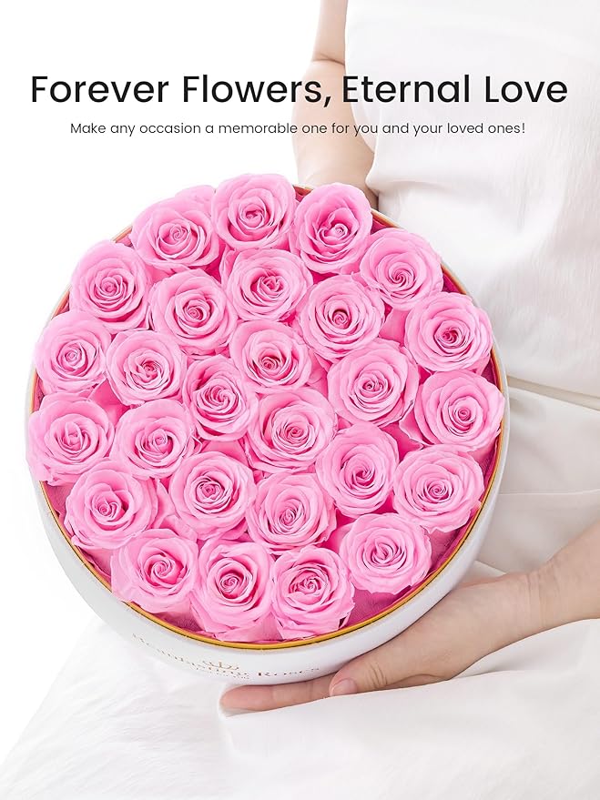 Preserved Roses Forever Flowers Real Roses in a Box Mother's Day Birthday Flowers for Her Mom Women Wife Valentine's Day, 27 Light Pink Roses