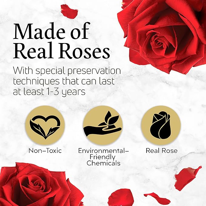 GLAMOUR BOUTIQUE Eternal Preserved Roses in a Box - Flowers Forever, Rose Forever in a Box for Wife, Birthday Gifts for Her, 19 Roses, Red