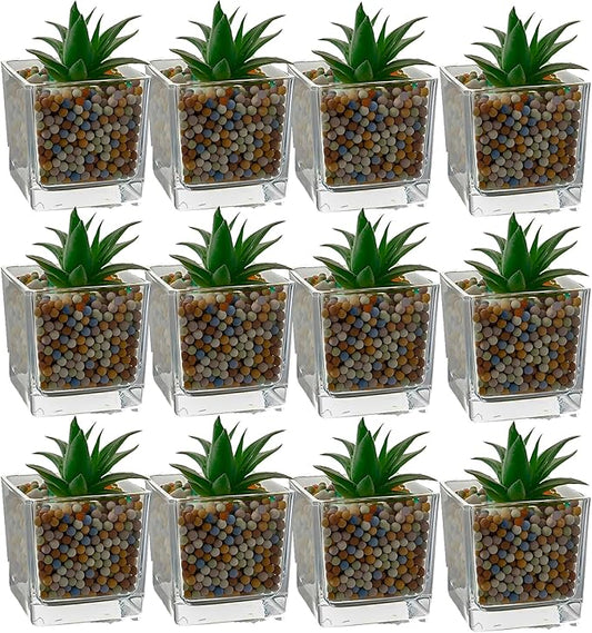 12pcs Square Glass Vases for Centerpieces, 3.15" Clear Short Glass Vase Cube Plant Terrarium, Candle Holder for Wedding Centerpiece, Office Decorations, Home Décor, Parties
