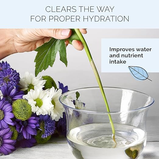 FloraLife Quick Dip - Instant Hydrating Treatment Solution for Preserving Fresh-Cut Flowers - 8oz