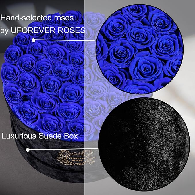 40 Pieces Preserved Roses in Suede Box, Flowers for Mothers Day, Preserved Flowers Gift for Women, Royal Blue