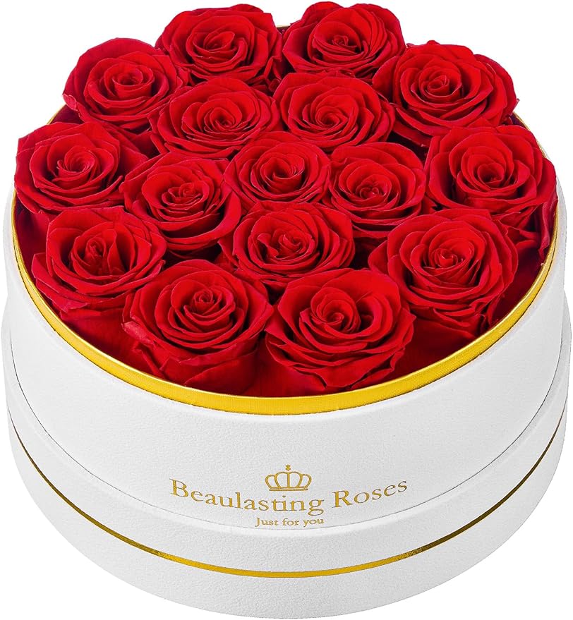 Preserved Roses Forever Flowers Real Roses in a Box Mother's Day Birthday Flowers for Her Mom Women Wife Valentine's Day, 16 Red Roses