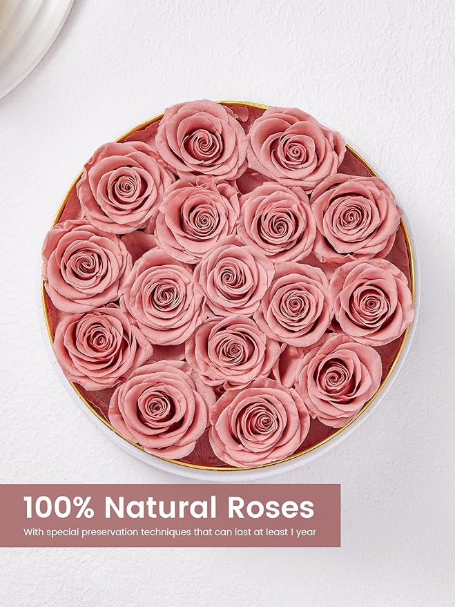 Preserved Roses Forever Flowers Real Roses in a Box Mother's Day Birthday Flowers for Her Mom Women Wife Valentine's Day, 16 Dusty Pink Roses