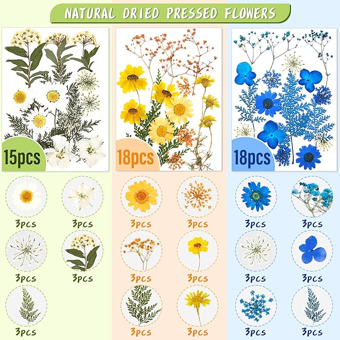 Nuanchu 167 Pcs Real Dried Pressed Flowers Natural Dried Flowers Colorful Daisy Mixed Wildflowers Leave for DIY Candle Resin Nails Jewelry Pendant Crafts Floral Art (Multicolor,Lovely Style)