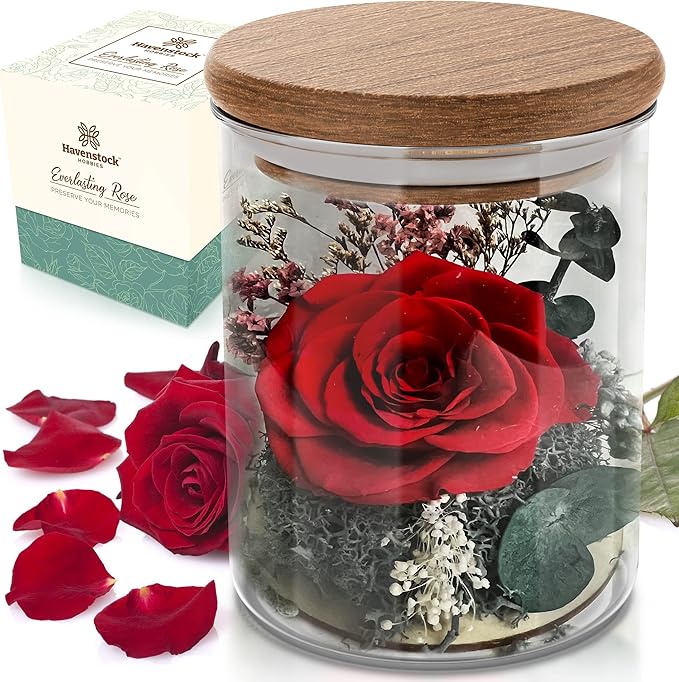 Red Rose in a Glass Dome - Premium Real Roses that Last a Year or More - Mother's Day Unique Gifts For Her Preserved Roses - Forever Flower Decor Preserved Flowers - Eternal Rose Display