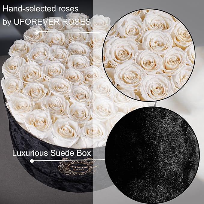 40 Pieces Preserved Roses in Suede Box, Flowers for Mothers Day, Preserved Flowers Gift for Women, White