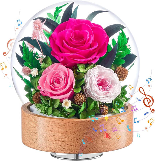 Eterfield Flowers for Delivery Prime, Christmas Preserved Roses Gifts for Women - Forever Flower in Glass Dome Birthday Gifts for Mom Wife Grandma Her Valentine’s Day (Hot Pink, Sphere)