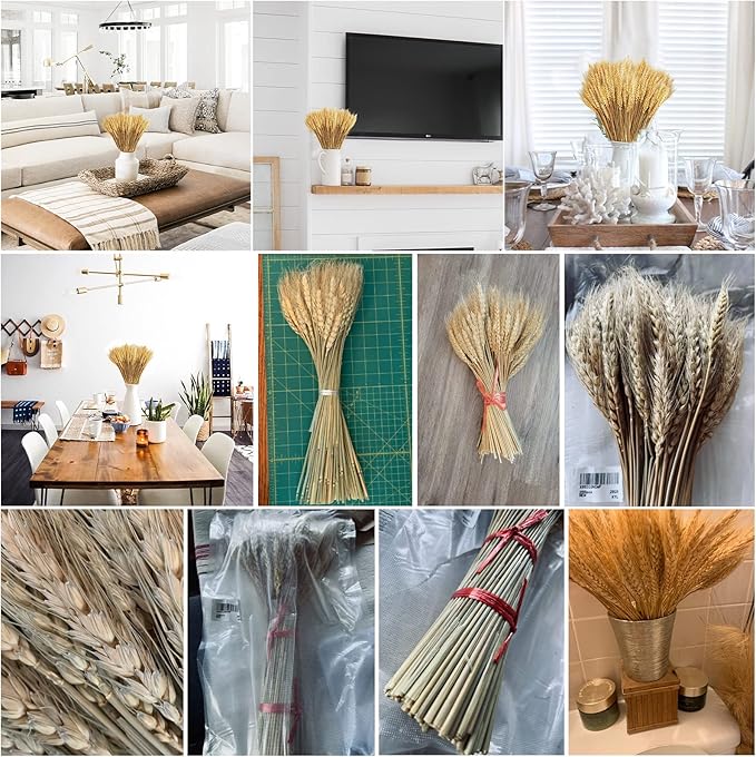 Uieke 17.7 Inches Dried Wheat Stalks, 200 Stems Dried Flowers 100% Natural Wheat for Home Kitchen Wedding Party Table Centerpiece Harvest Wreath Boho Farmhouse DIY Decoration