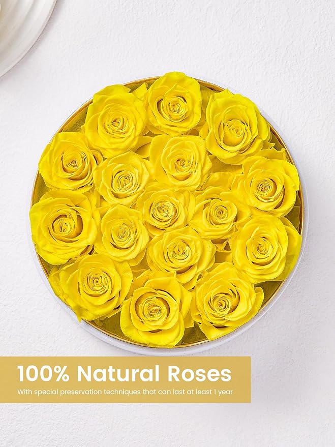 Preserved Roses Forever Flowers Real Roses in a Box Mother's Day Birthday Flowers for Her Mom Women Wife Valentine's Day, 16 Yellow Roses