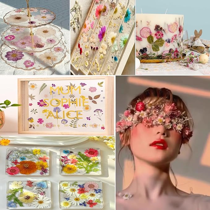 285Pcs 9 Packs Mixed Types Real Natural Dried Pressed Flowers & Leaves for Resin Molds, DIY Crafts, Jewelry Making + 100Pcs Butterfly Stickers + Tweezers