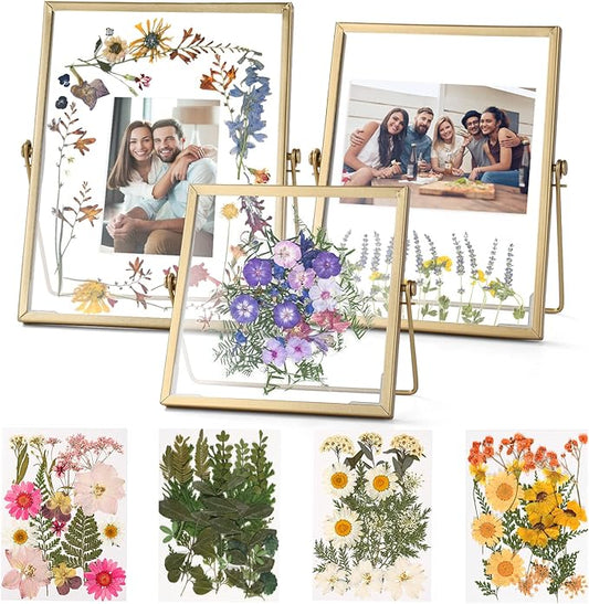 Gold Picture Frame Set - /w 68 Pcs Dried Flowers and Tweezer - Double Glass Frame for Pressed Flowers, Pressed Flower Frames for Handicrafts, Photo or Other Flat Items.