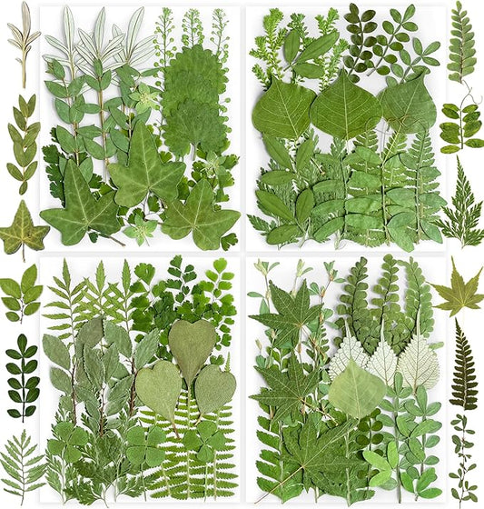 84Pcs Real Natural Dried Pressed Flowers & Green Leaves for DIY Crafts, Resin, Scrapbooking, Frame Decor + 4 Packs + Tweezers